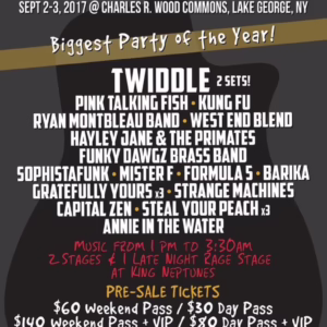 Adirondack Independence Music Festival 2017 Lineup poster image