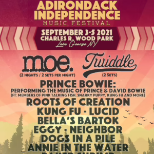 Adirondack Independence Music Festival 2021 Lineup poster image