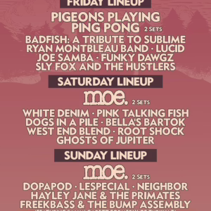 Adirondack Independence Music Festival 2022 Lineup poster image