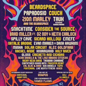 BeardFest 2025 Lineup poster image