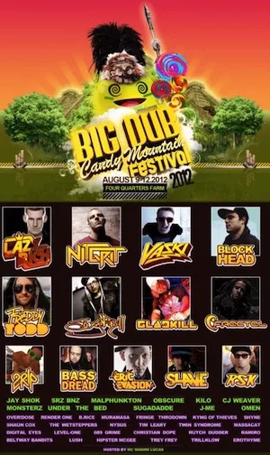 Big Dub Festival 2012 Lineup poster image