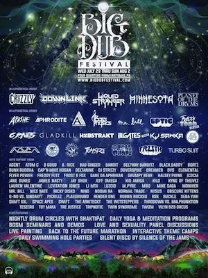 Big Dub Festival 2015 Lineup poster image