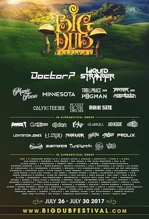 Big Dub Festival 2017 Lineup poster image