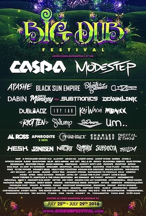 Big Dub Festival 2018 Lineup poster image