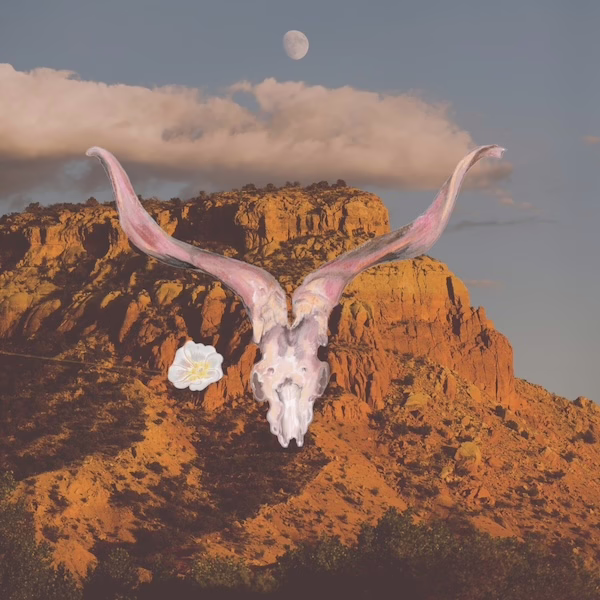 Blossoms & Bones icon
