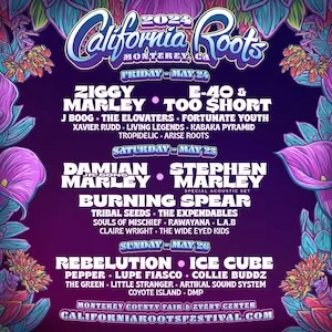 California Roots 2024 Lineup poster image