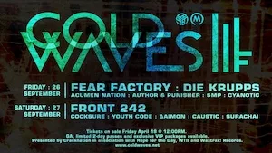 Cold Waves Festival 2014 Lineup poster image