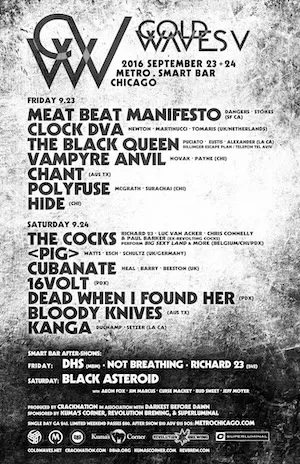 Cold Waves Festival 2016 Lineup poster image