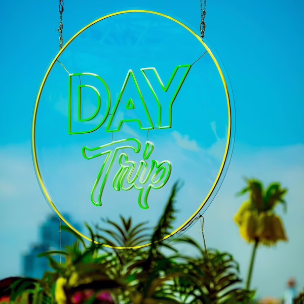 Day Trip Festivals profile image