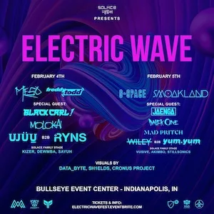 Electric Wave Festival 2022 Lineup poster image