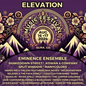 Elevation Music Festival 2024 Lineup poster image