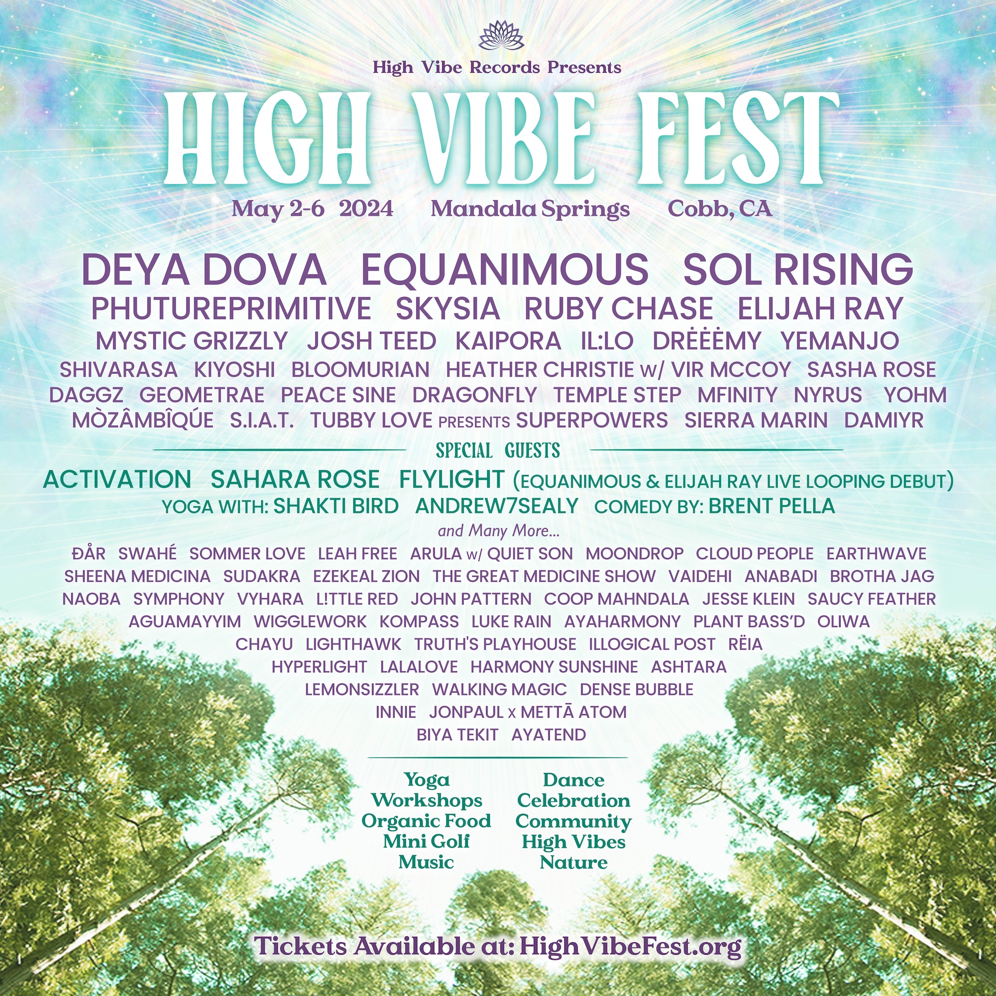 High Vibe Fest lineup poster