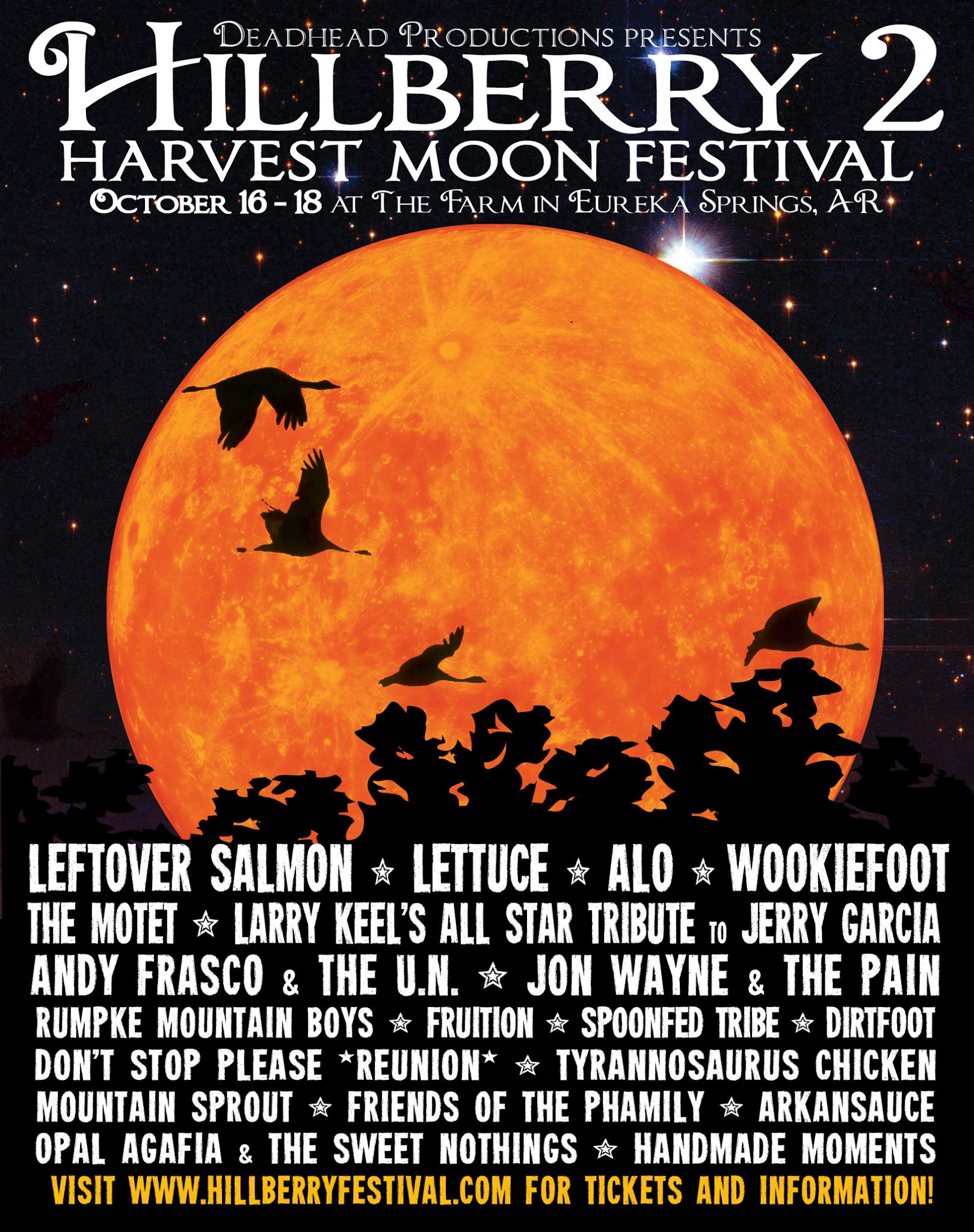 Hillberry Festival 2015 Lineup poster image