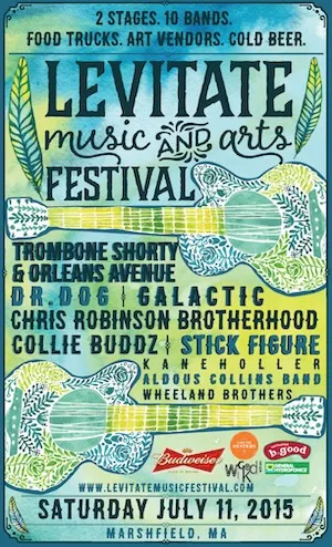 Levitate Music and Arts Festival 2015 Lineup poster image