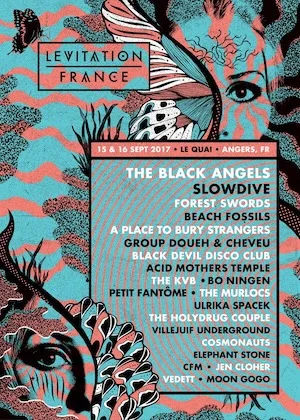 LEVITATION FRANCE 2017 Lineup poster image