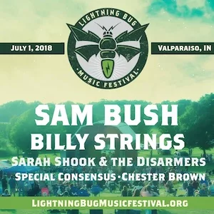 Lightning Bug Music Festival 2018 Lineup poster image