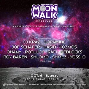 Moonwalk Festival 2020 Lineup poster image