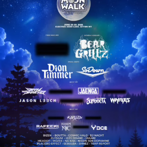 Moonwalk Festival 2025 Lineup poster image