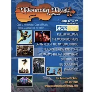 Mountain Music Festival 2014 Lineup poster image