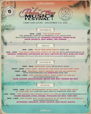 Palm Tree Music Festival Cabo 2021 Lineup poster image