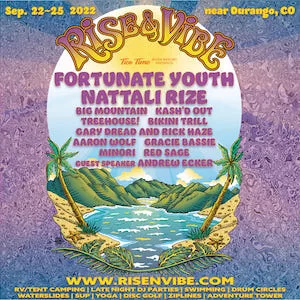 Rise and Vibes Music Festival 2022 Lineup poster image