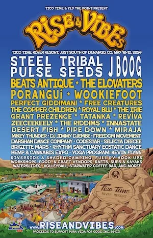 Rise and Vibes Music Festival 2024 Lineup poster image