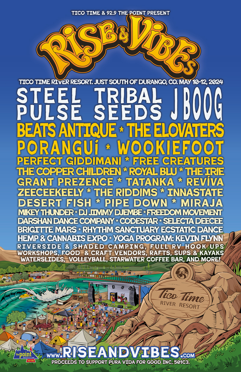 Rise and Vibes Music Festival lineup poster