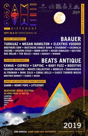Same Same But Different Festival 2019 Lineup poster image