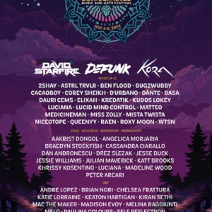 Sonic Springs Music & Arts Festival 2024 Lineup poster image