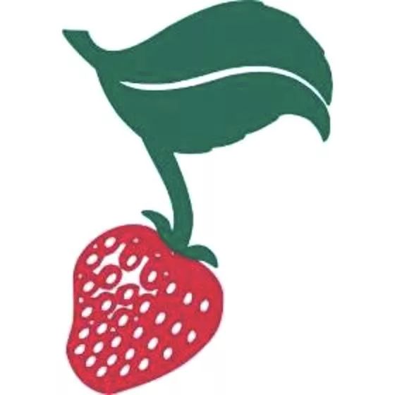 Strawberry Music Festival icon