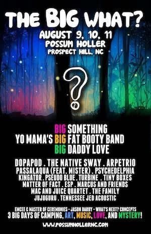 The BIG What? 2012 Lineup poster image