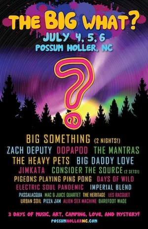 The BIG What? 2013 Lineup poster image