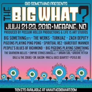 The BIG What? 2016 Lineup poster image