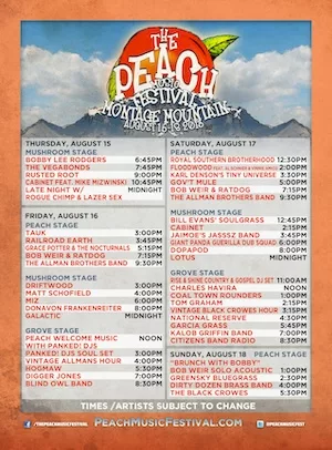The Peach Music Festival 2013 Lineup poster image