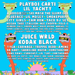 The Summer Smash Festival 2019 Lineup poster image