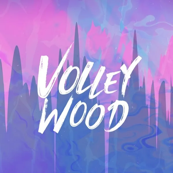 Volleywood Chicago icon