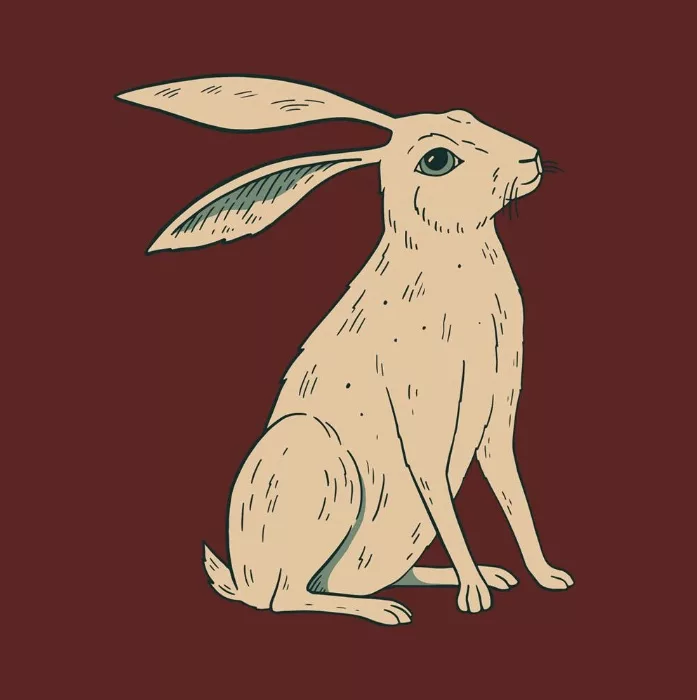 Wild Hare Music Festival icon