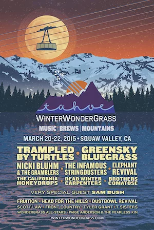 WinterWonderGrass Tahoe 2015 Lineup poster image