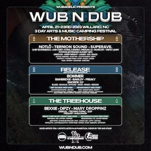 Wub N Dub Arts & Music Festival 2023 Lineup poster image